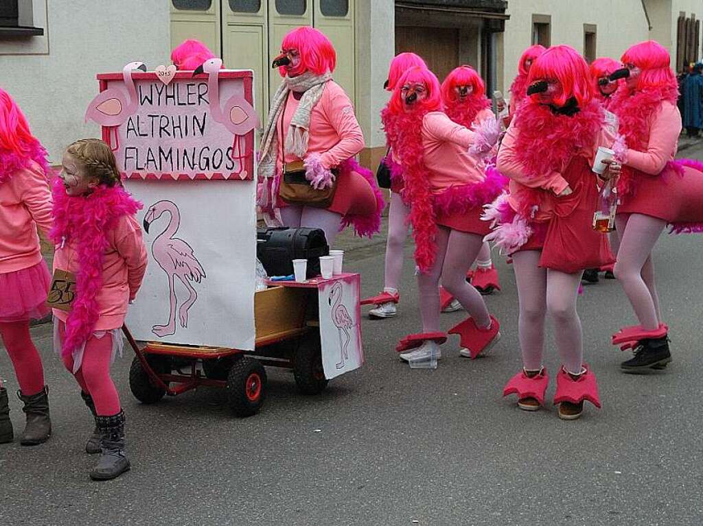 Rosenmontagsumzug in Wyhl: Die Altrheinflamingos boten einen Farbtupfer beim Umzug