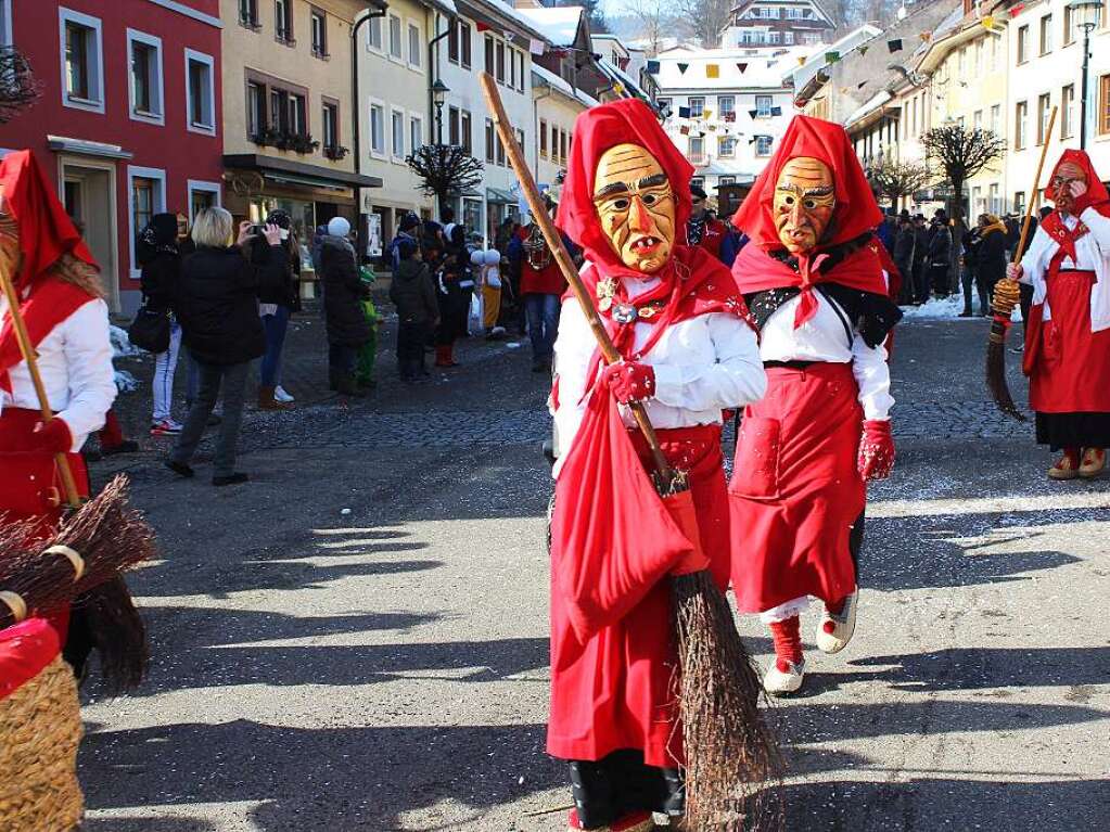 Impressionen vom Schnauer Fasnachtsumzug am Rosenmontag