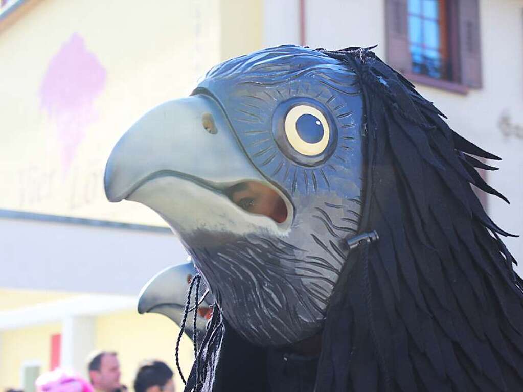 Impressionen vom Schnauer Fasnachtsumzug am Rosenmontag