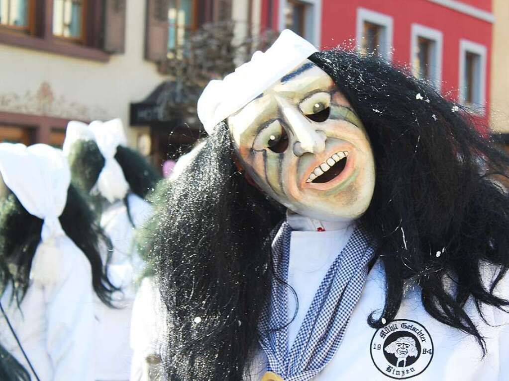 Impressionen vom Schnauer Fasnachtsumzug am Rosenmontag