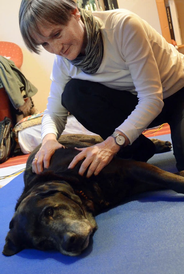 Labrador-Mischling Gismo geniet die B...ng von Physiotherapeutin Ulrike Wiese.  | Foto: Nikola vogt