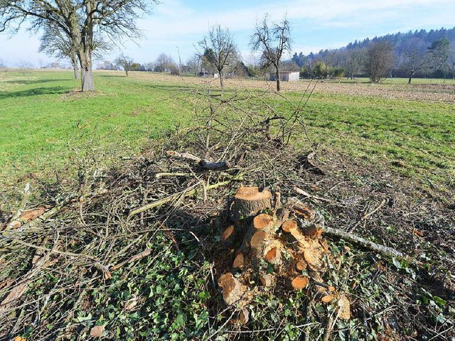 Obstbume wurden abgeholzt: Baumfllak...22;Hhe&#8220; im Stadtteil Zhringen.  | Foto: Rita Eggstein