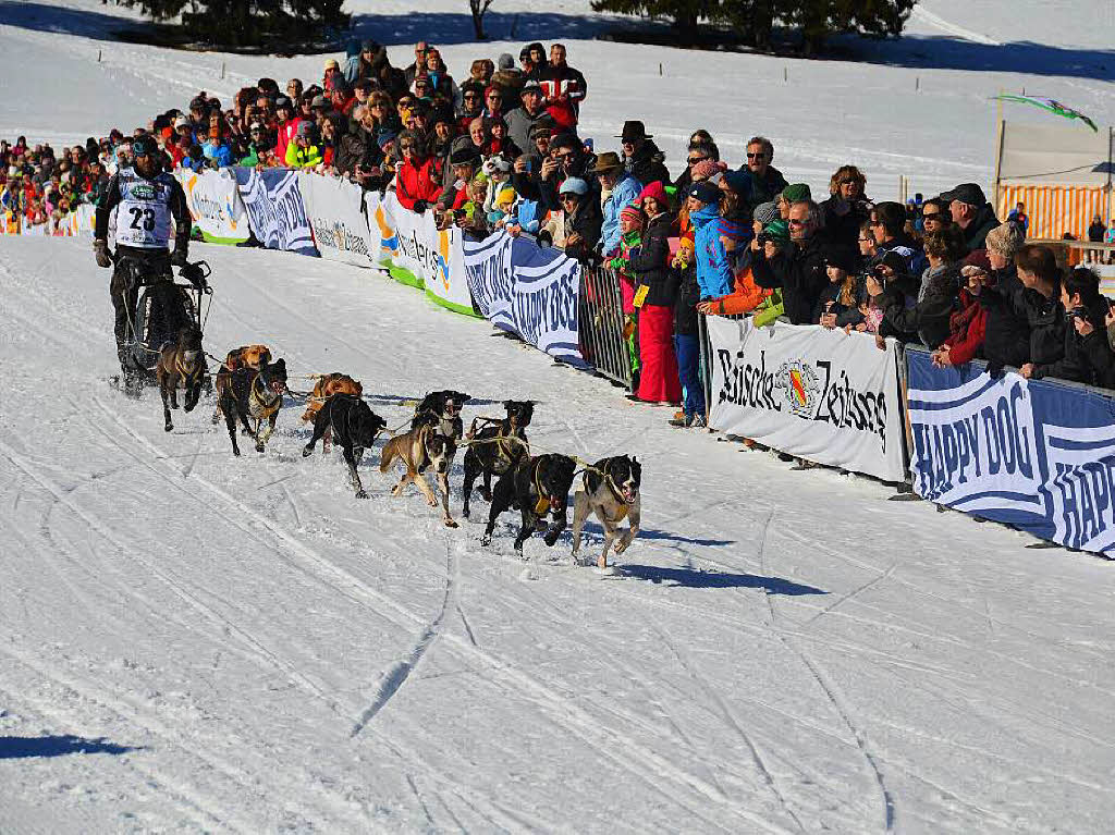 Schlittenhunde-WM in Bernau