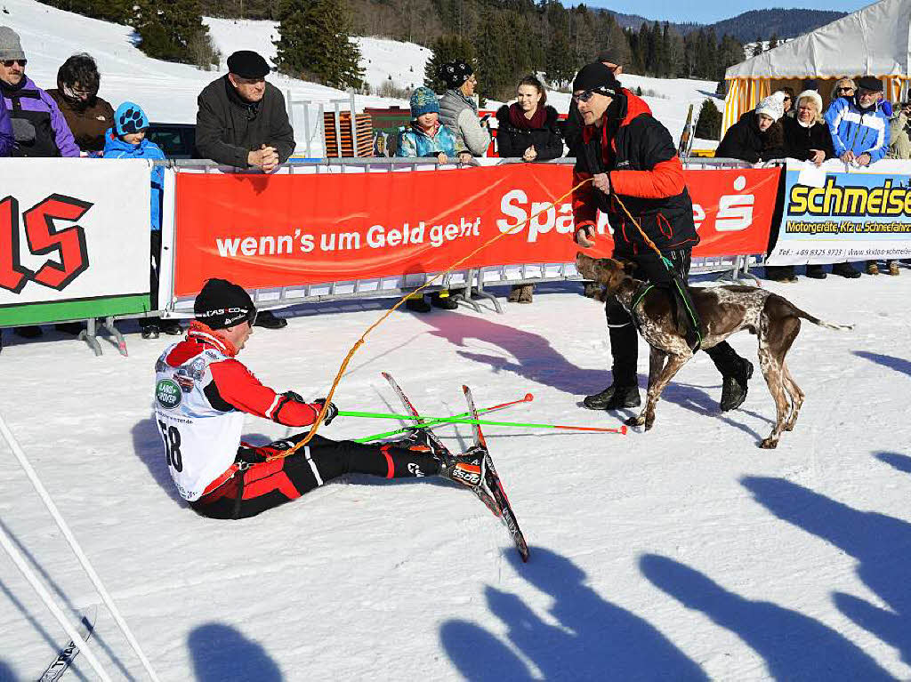 Schlittenhunde-WM in Bernau