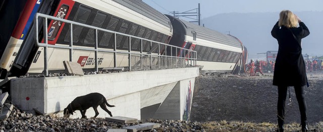 Sechs Verletzte gab es bei einem  Zugunglck bei Rafz, im Kanton Zrich.   | Foto: dpa