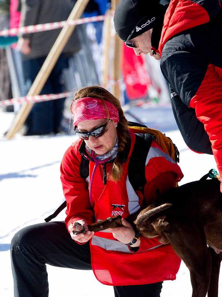 Schlittenhunde-WM in Bernau