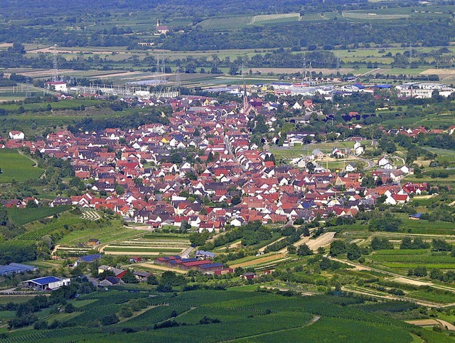 Drei Webcams liefern nun Bilder vom Ei...Bilder der Kameras abgerufen werden.    | Foto: Archiv Gustav Rinklin