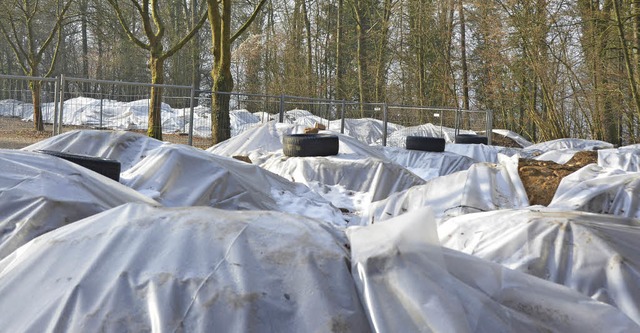 Rund 40 Erdhaufen &#8211; mit Planen a...rmen sich auf dem Waldbad-Parkplatz.   | Foto: Sina Gesell