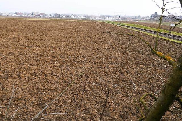 Neubaugebiete verdrngen Acker: Landwirte in Sorge