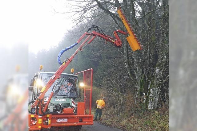 Mangelnde Grundstckspflege: Gemeinde kndigt „grobere Schritte“ an