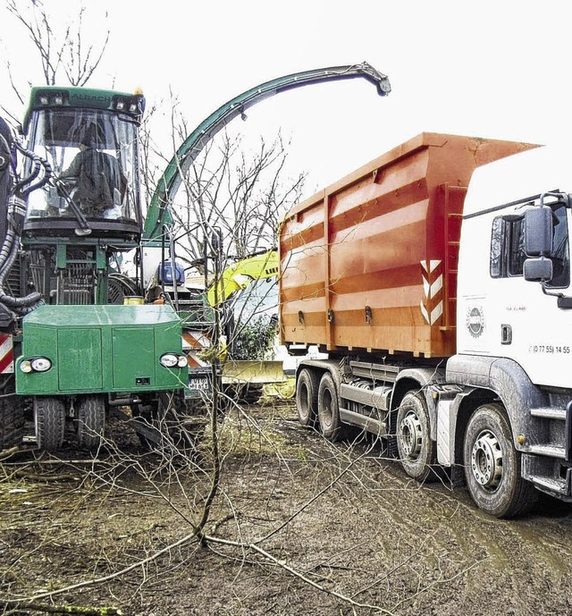 Wichtig fr die MBR: die Hackschnitzelproduktion  | Foto: Bingold