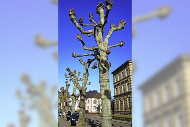 SKULPTUREN