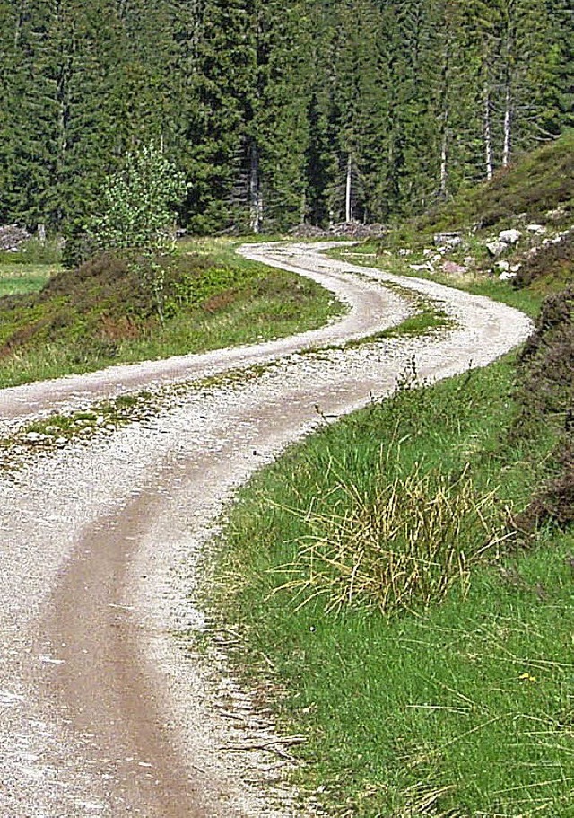 Die Instandhaltung der Waldwege ist im...ernte wirft aber genug berschuss ab.   | Foto: Archivfotos: Horst A. BSS