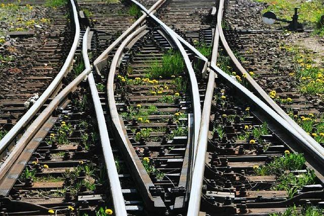 Rheintalbahn: Verband will Gleise entlang der A5