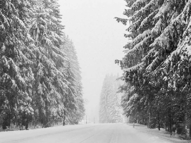 Der Schwarzwald wird wieder schn wei.  | Foto: Carlotta Huber