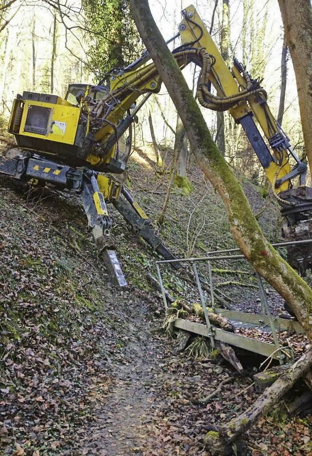 Ein Schreitbagger arbeitet im Natursch...s Bachbett von Schutt und Schwemmgut.   | Foto: zvg