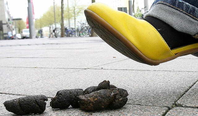 Vorsicht Tretminen: Im Riegeler Gemein...wieder einmal das Thema Fäkalien auf. | Foto: dpa Vorsicht Tretminen: Im Riegeler Gemein...wieder einmal das Thema Fäkalien auf. | Foto: dpa