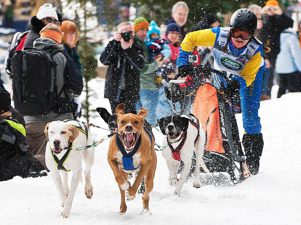 Impressionen von der Schlittenhunde-WM in Todtmoos