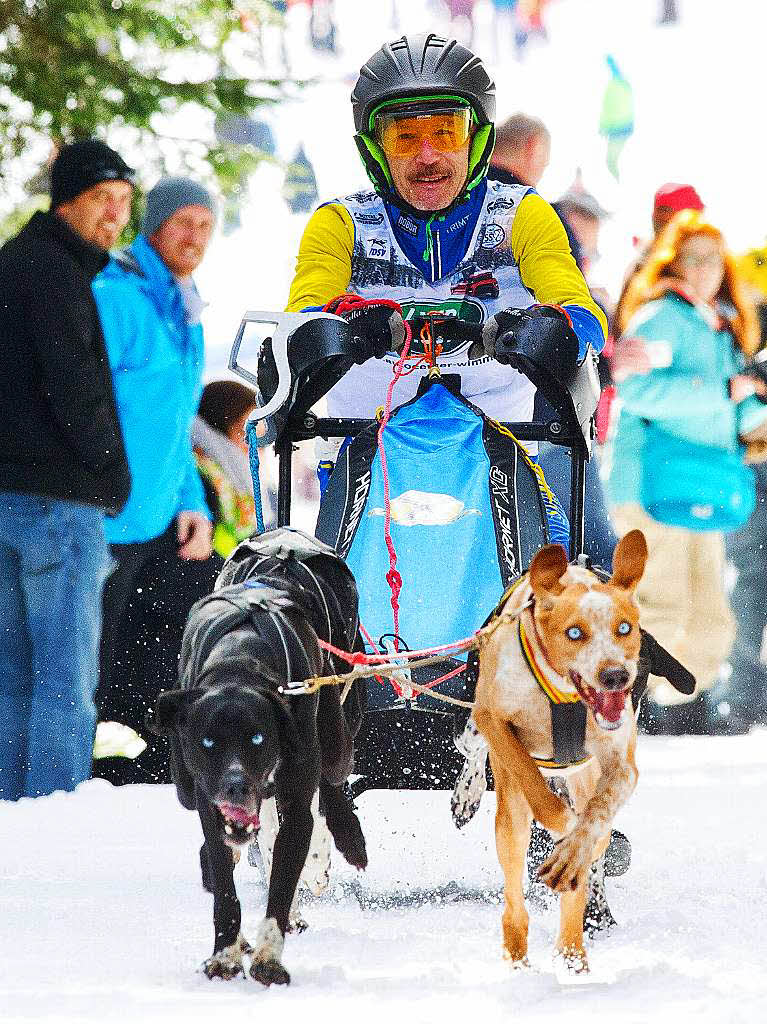 Impressionen von der Schlittenhunde-WM in Todtmoos