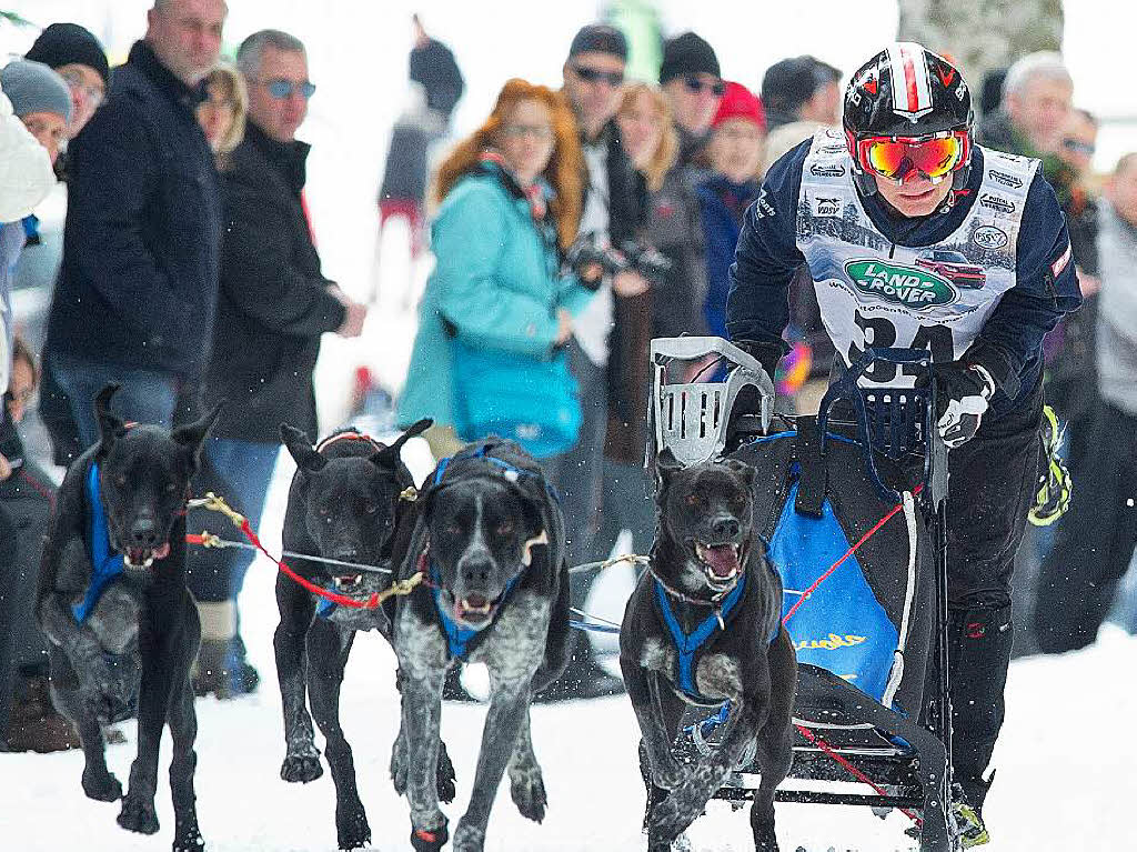 Impressionen von der Schlittenhunde-WM in Todtmoos