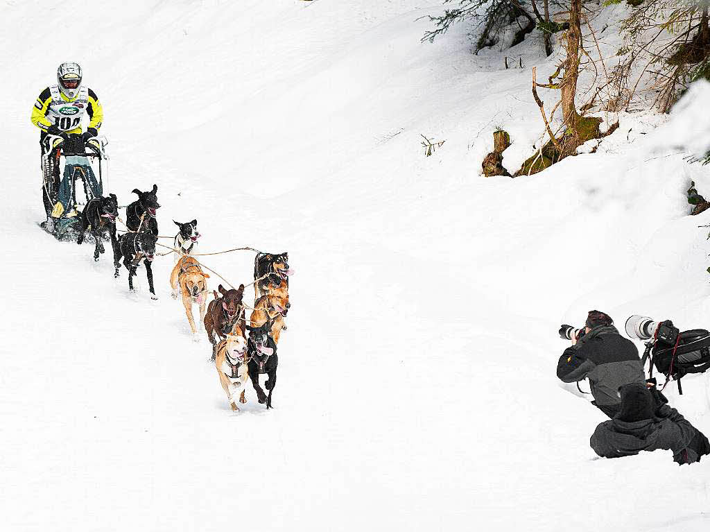 Impressionen von der Schlittenhunde-WM in Todtmoos