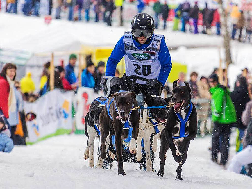 Impressionen von der Schlittenhunde-WM in Todtmoos