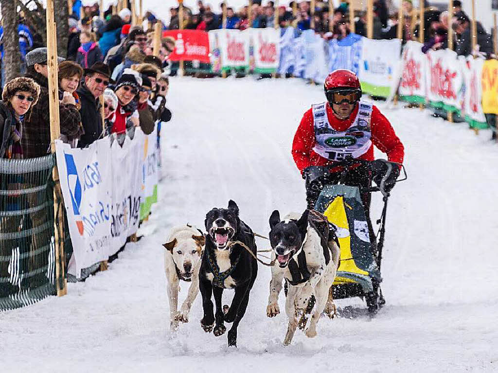 Impressionen von der Schlittenhunde-WM in Todtmoos