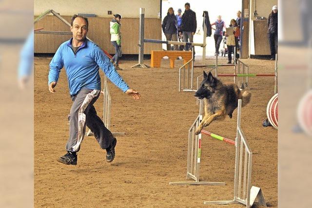 Den Pferdesportlern abgeschaut