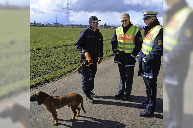 DREI POLIZEIHUNDE