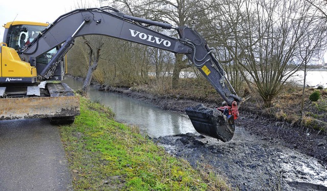 Wyhl. Der Bagger beim entschlammen und vertiefen des Tuchbleichegraben.  | Foto: Roland Vitt