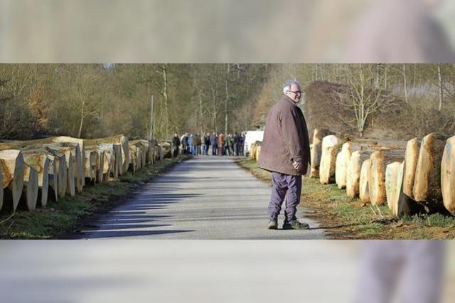 Holz aus dem Stadtwald ist begehrt