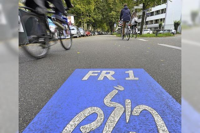 Gemeinderat will Freiburg klimaneutral machen
