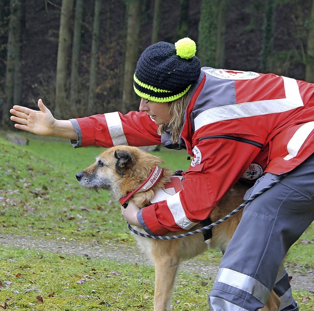 Da geht&#8217;s lang: Rettungshund und...bei der Prfung fr Flchensuchhunde.   | Foto: DRK-Kreisverband