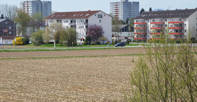 Ackerland ist wichtiger als ein Lebens...gumentieren zwei Leserbriefschreiber.   | Foto: Gerhard Walser