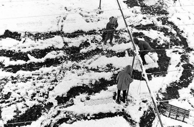 Kaum zu glauben, aber wahr: Dieses Fot... im Mrz vor 50 Jahren in Emmendingen!  | Foto: Armin Mller