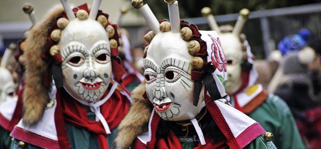 Die Dillendorfer Schnecken blicken auf eine reibungslose Fastnacht 2015 zurck.  | Foto: Archiv: Dietmar Noeske