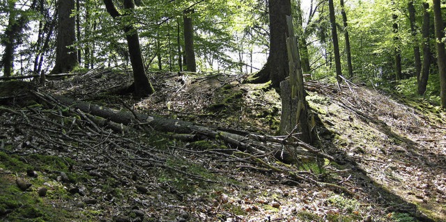 Fr Laien schwer zu erkennen, fr Expe...urchaus &#8211; die Khlloch-Schanze.   | Foto: zvg