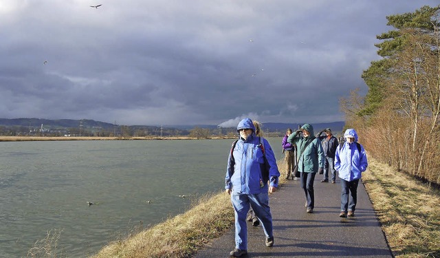 Der Schwarzwaldverein lockt auch 2015 ...ebot. Wanderwetter ist brigens immer!  | Foto: Jutta Binner-Schwarz