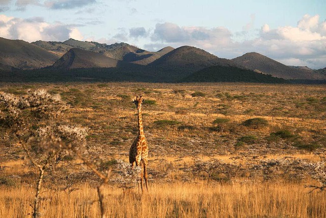 So schn, so weit &#8211; Kenias Landschaften.   | Foto:  dpa-tmn