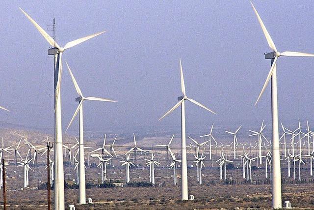 Windkraftfläche wird verkleinert