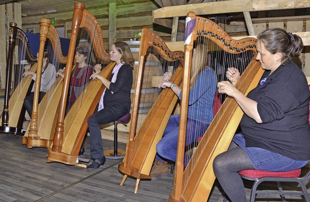 Das Zusammenspiel der fnf Harfen hauc...rbehalle eine warme  Atmosphre ein.   | Foto: Thines