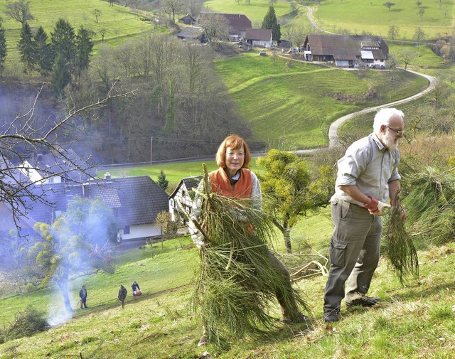 Schwerarbeit in  steiler Hanglage leis...ekamp auf Weideflchen beim Kammerhof.  | Foto: Dieter Erggelet