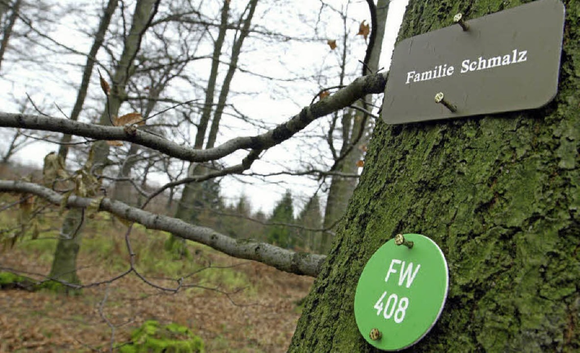 Baumbestattungen werden immer beliebte...die Steinmetzbranche  ein rotes Tuch.   | Foto: dpa