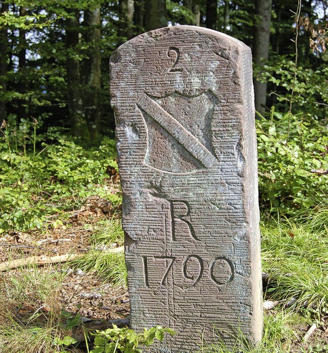 Ein alter Grenzstein im Zeller Bergland  | Foto: Paul Berger