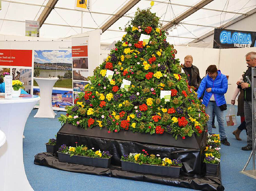 Impressionen vom Auftritt der Gemeinden Rheinfelden, Rheinfelden/Schweiz und Grenzach-Wyhlen an der Regio-Messe