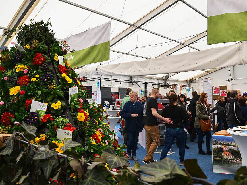 Impressionen vom Auftritt der Gemeinden Rheinfelden, Rheinfelden/Schweiz und Grenzach-Wyhlen an der Regio-Messe