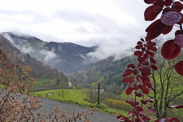 Hinterzarten zeigt sich interessiert