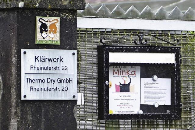 Katzenhaus muss gerumt werden