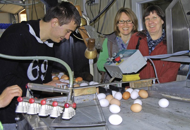 Nach Gre sortiert werden die Eier mit Hilfe der Sortiermaschine.  | Foto: Elfi Nosbsch