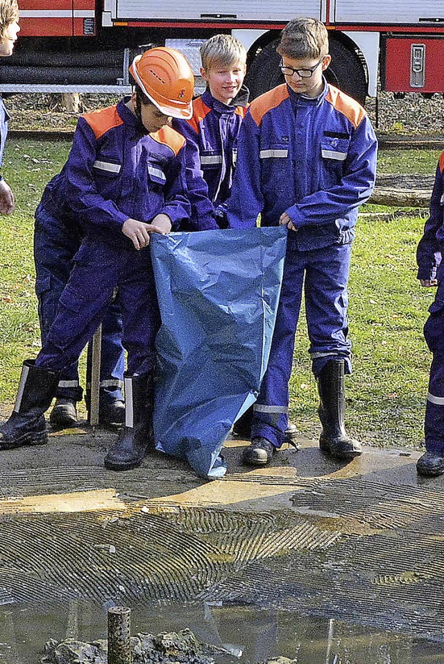 Immer wieder bei Stadtputzaktionen dab...r. Andere Gruppen hielten sich zurck.  | Foto: Dieter Erggelet